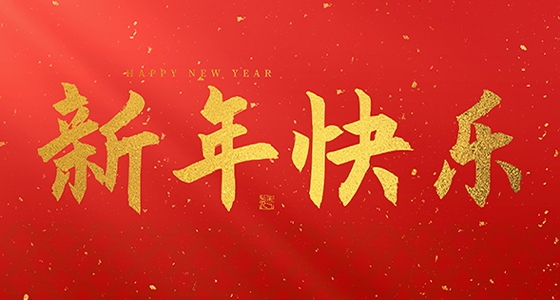 安特儀表集團有限公司祝大家2025新年快樂！